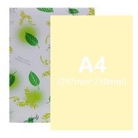淺黃 A4/80g 500張